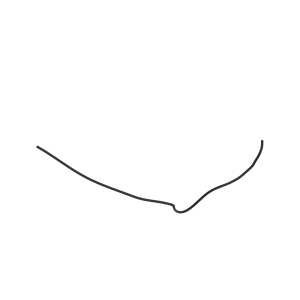 Image of SJ21683