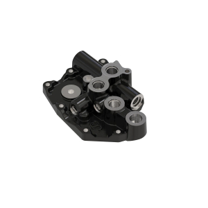 Manifold