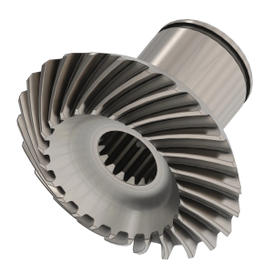 Bevel Gear