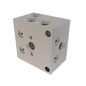 Manifold