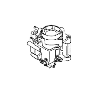 Image of MIA12362