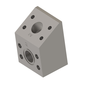 Manifold