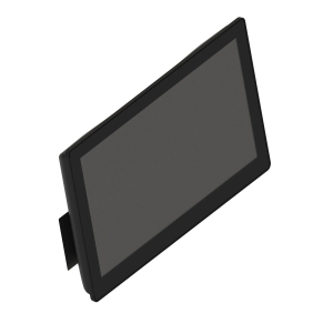 Display Module