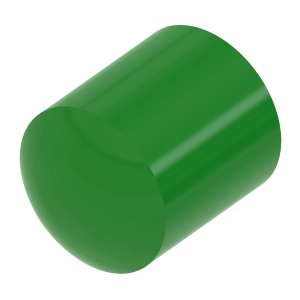 N272433: Cap End Protector