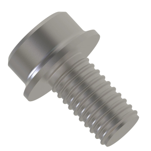 Screw