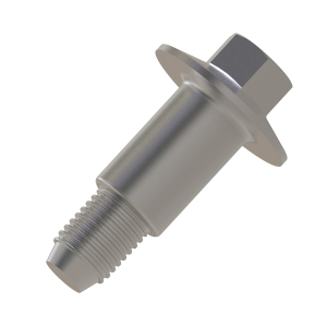 Screw
