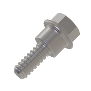 Screw