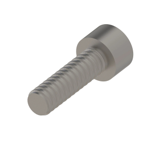 Screw