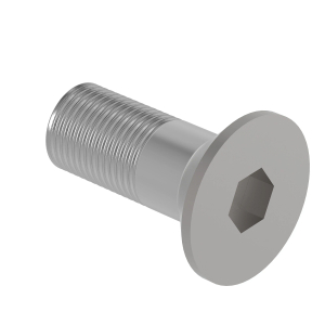 Screw
