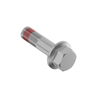 Screw