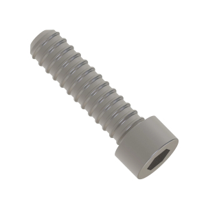 Socket Head Screw