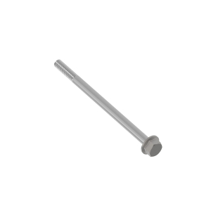 Screw
