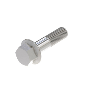 Cap Screw