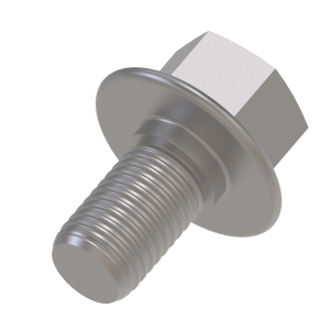 Cap Screw
