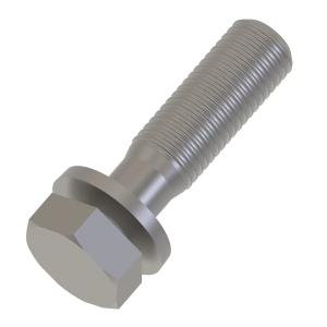 Screw With Washer