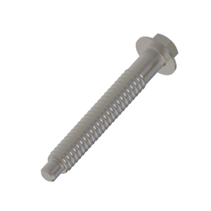 Screw
