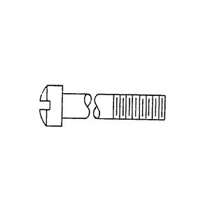 Screw