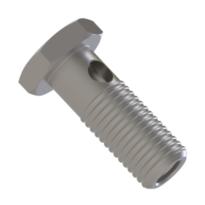 Hollow Screw