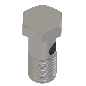 Hollow Screw