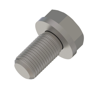Screw With Washer
