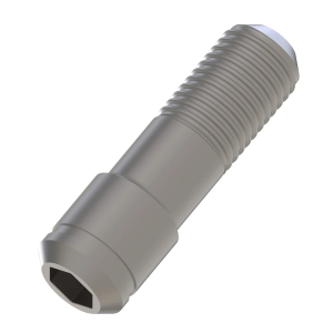 Socket Head Screw