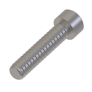 Screw