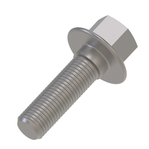 Cap Screw