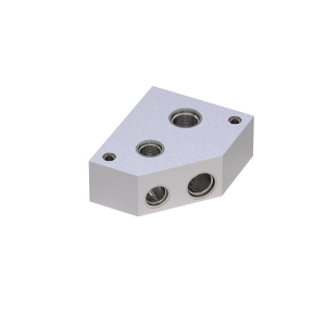 Manifold