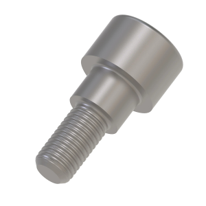 Screw