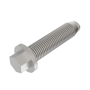 Screw