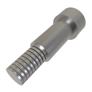 Screw