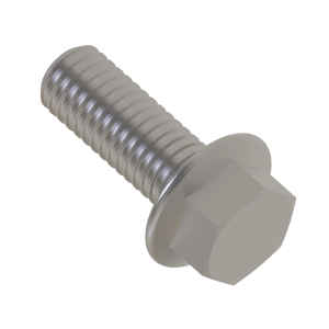 Cap Screw