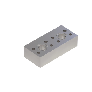 Manifold