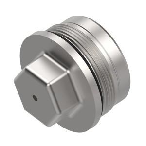 Fitting Plug