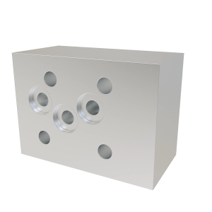 Manifold