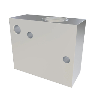 Manifold