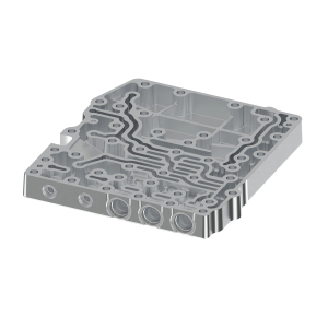 Manifold