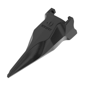 Tooth