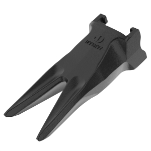Tooth