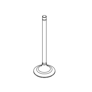 Exhaust Valve