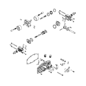 Hydraulic Motor