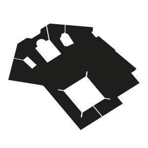 Image of T470553