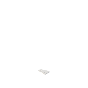 N262847: Right Side Plate
