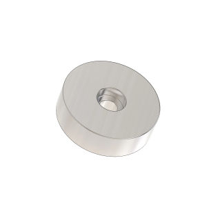 Magnet