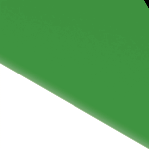 N262790: Double Disk Plate
