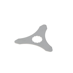 Image of R93172
