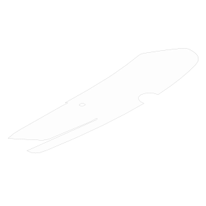 Shield