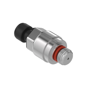 Image of RE581538