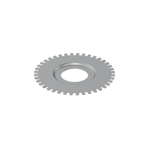 Disk