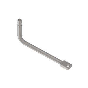 Arm